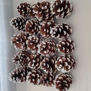 Pine Cones White Tips Glittered